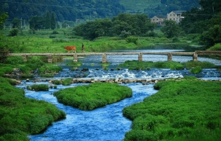 環(huán)境應(yīng)急案編制要點(diǎn)？企業(yè)未按應(yīng)急預(yù)案要求設(shè)置事故應(yīng)急池會如何處罰 ？